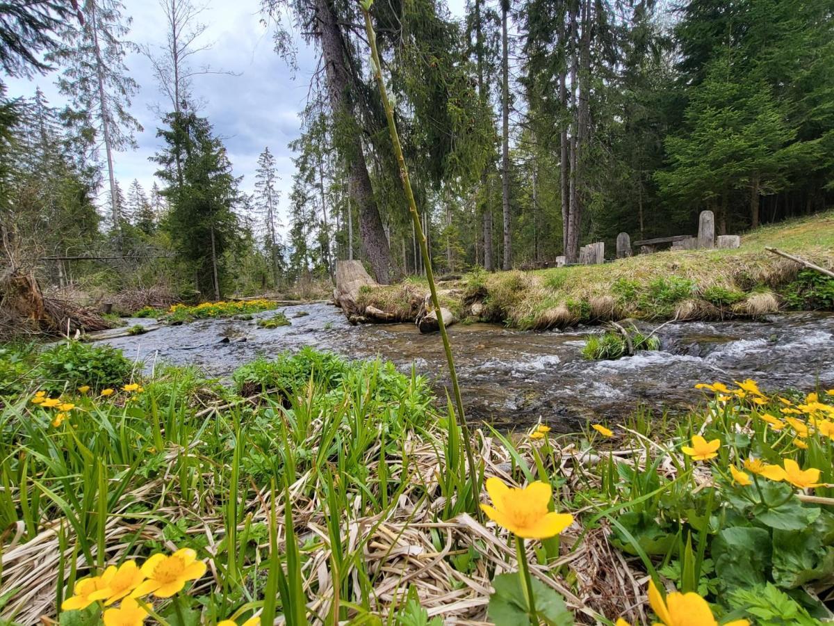 Apartment In Tatranska Strba/Near Strbske Pleso With Free Parking 외부 사진